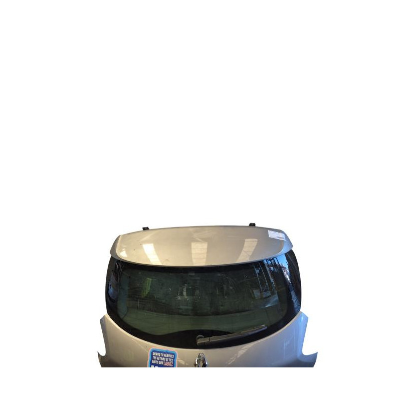 Malle/Hayon arriere RENAULT ZOE 1 Photo n°1