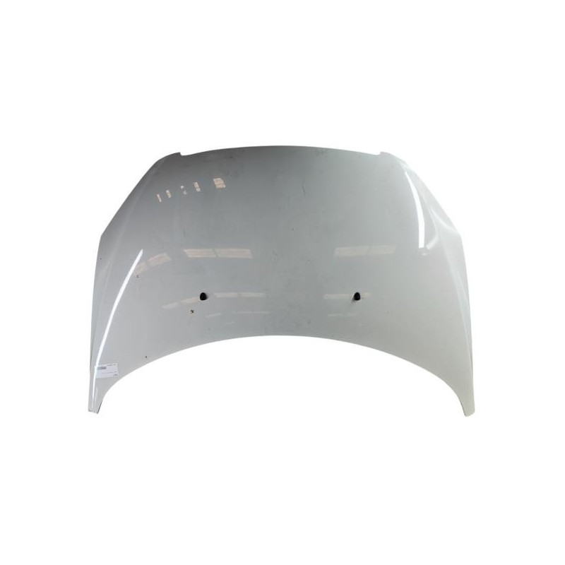Capot PEUGEOT 307 Photo n°1