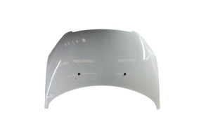 Capot PEUGEOT 307 Photo n°1