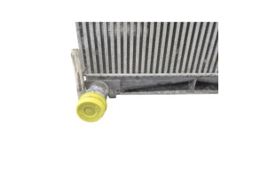 Radiateur eau LAND ROVER RANGE ROVER 1 SPORT Photo n°14 Radiateur eau LAND ROVER RANGE ROVER 1 SPORT Photo n°14
