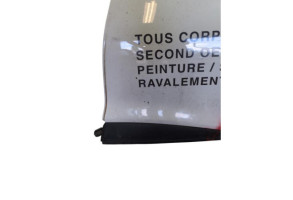 Porte arriere gauche RENAULT CLIO 4 Photo n°5
