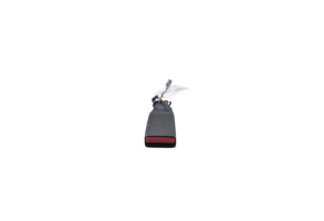 Attache ceinture arriere droit DACIA SANDERO 3 Photo n°1