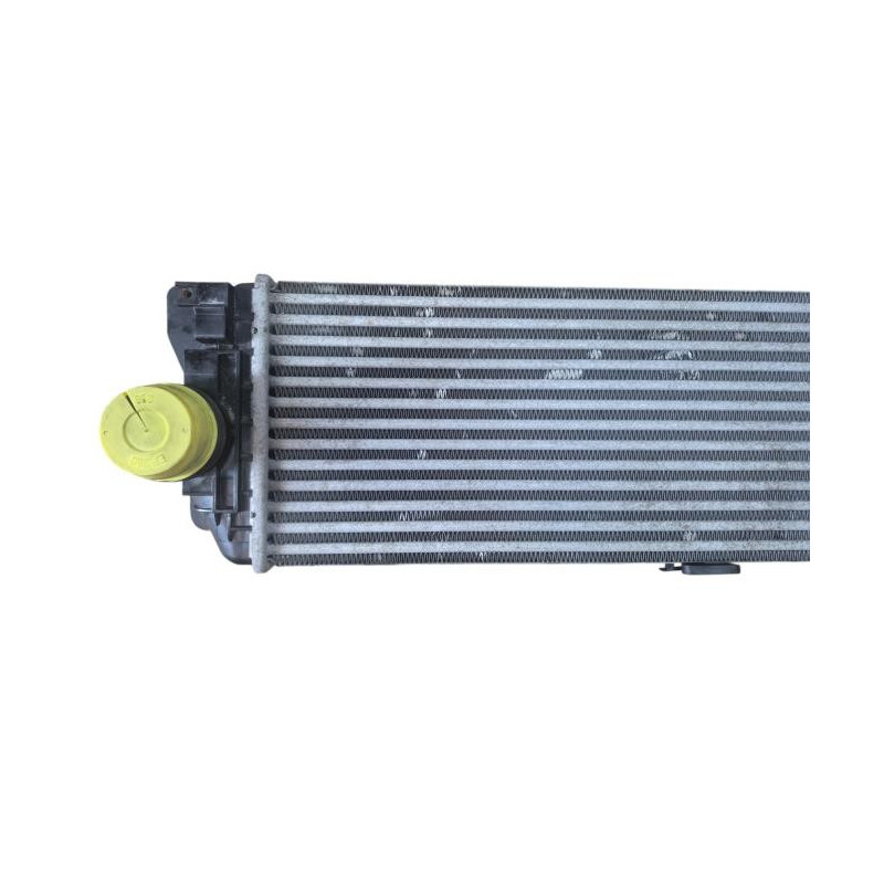 Echangeur air (Intercooler) MERCEDES SPRINTER 2 Photo n°1