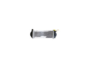 Echangeur air (Intercooler) RENAULT KANGOO 2 Photo n°1