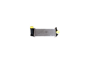 Echangeur air (Intercooler) RENAULT KANGOO 2 Photo n°5