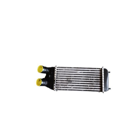 Echangeur air (Intercooler) CITROEN DS3