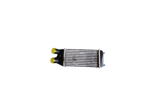 Echangeur air (Intercooler) CITROEN DS3 Photo n°1