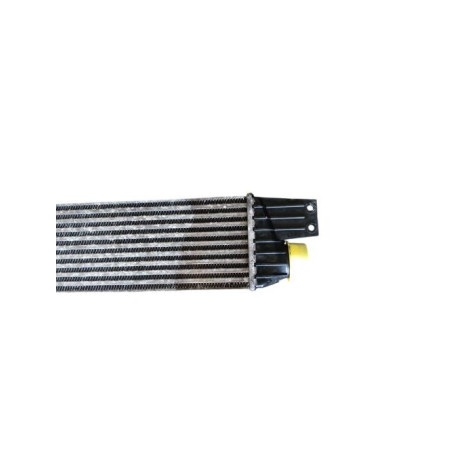 Echangeur air (Intercooler) SSANGYONG REXTON 1
