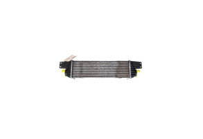 Echangeur air (Intercooler) SSANGYONG REXTON 1 Photo n°4 Echangeur air (Intercooler) SSANGYONG REXTON 1 Photo n°4