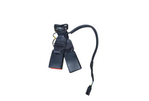 Attache ceinture arriere gauche RENAULT ZOE 2 Photo n°3