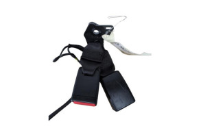 Attache ceinture arriere gauche RENAULT ZOE 2 Photo n°2