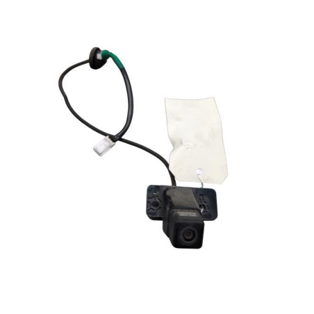 Camera de recul NISSAN JUKE 1
