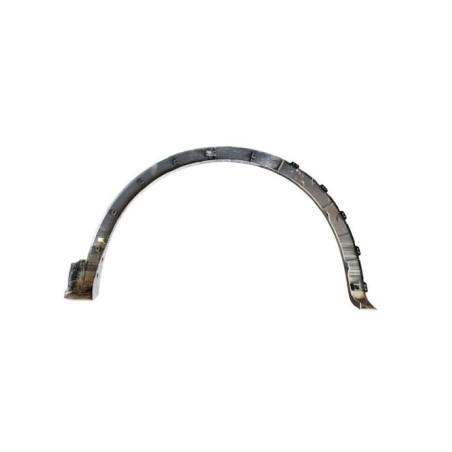 Extension d'aile avant gauche RENAULT ARKANA
