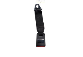 Attache ceinture arriere gauche PEUGEOT 206 Photo n°3
