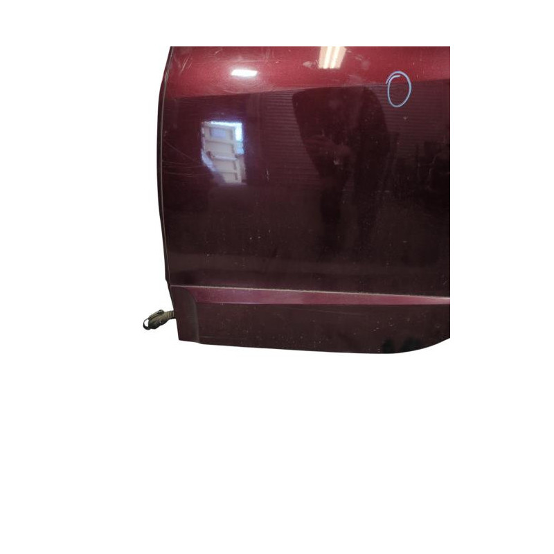 Porte arriere gauche RENAULT SCENIC 3 Photo n°1