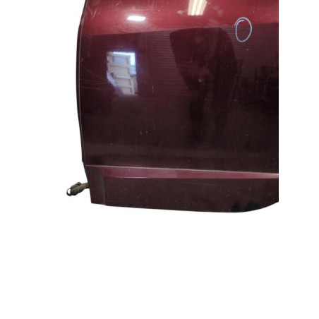Porte arriere gauche RENAULT SCENIC 3