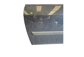 Porte avant gauche RENAULT SCENIC 2 Photo n°7