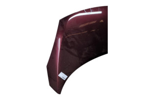Capot RENAULT SCENIC 3 Photo n°1