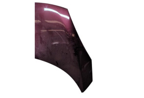 Capot RENAULT SCENIC 3 Photo n°3