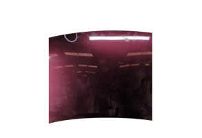 Capot RENAULT SCENIC 3 Photo n°5