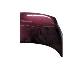 Capot RENAULT SCENIC 3 Photo n°6