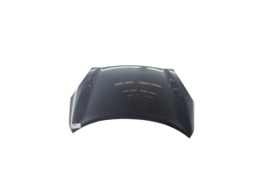Capot NISSAN MICRA 4 Photo n°6