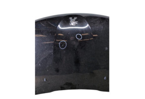 Capot PEUGEOT 208 1 Photo n°8