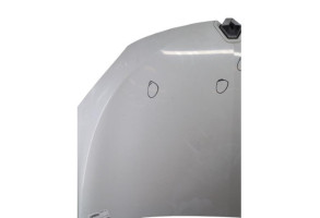 Capot RENAULT MEGANE 3 Photo n°1