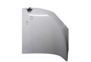 Capot RENAULT MEGANE 3 Photo n°5