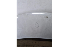 Capot RENAULT KANGOO 2 Photo n°2