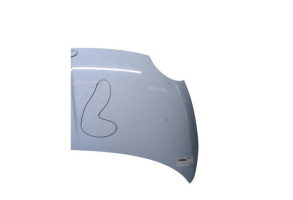 Capot FIAT 500 2 Photo n°2