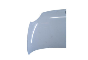 Capot FIAT 500 2 Photo n°4