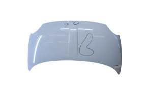Capot FIAT 500 2 Photo n°6
