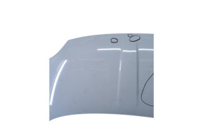 Capot FIAT 500 2 Photo n°7