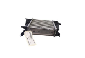 Echangeur air (Intercooler) RENAULT CLIO 3 Photo n°1