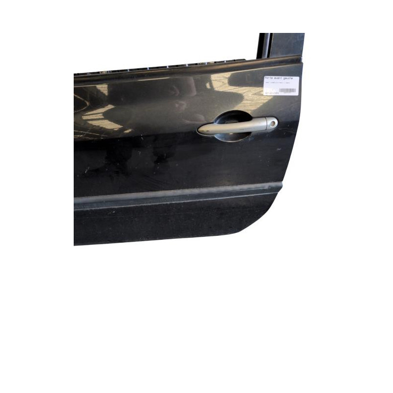 Porte avant gauche RENAULT CLIO 3 Photo n°1