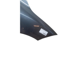 Aile avant droit RENAULT MEGANE 3 Photo n°4