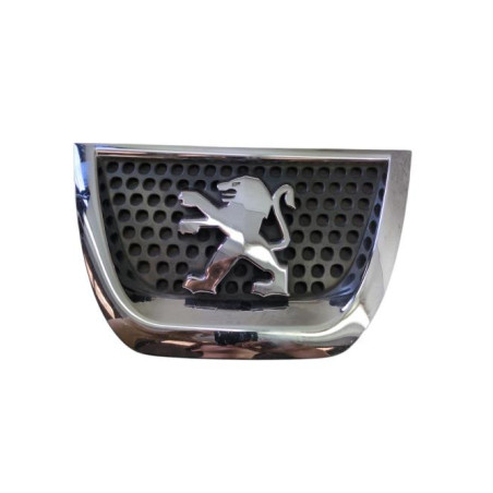 Calandre PEUGEOT 3008 1