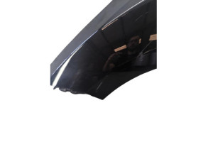 Aile avant gauche RENAULT MEGANE 3 Photo n°5