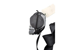 Ceinture arriere droit RENAULT MEGANE 3 Photo n°5
