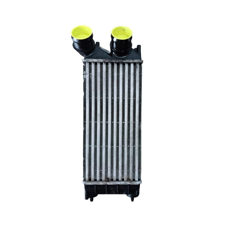 Echangeur air (Intercooler) PEUGEOT 3008 1 Photo n°1
