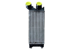 Echangeur air (Intercooler) PEUGEOT 3008 1 Photo n°1