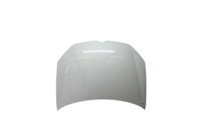 Capot VOLKSWAGEN GOLF 6 Photo n°1