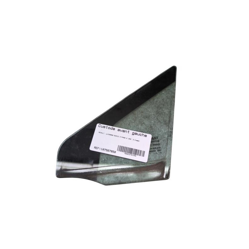 Custode avant gauche (porte) RENAULT SCENIC 3 Photo n°1