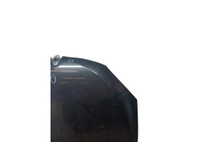 Capot RENAULT MEGANE 3 Photo n°5