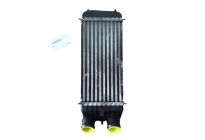 Echangeur air (Intercooler) PEUGEOT 207 Photo n°1