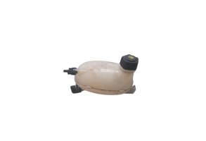Vase d'expansion RENAULT CLIO 5 Photo n°2
