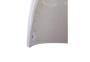 Capot SEAT IBIZA 4 Photo n°7