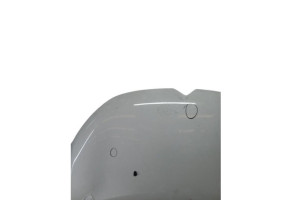 Capot RENAULT MEGANE 3 Photo n°7