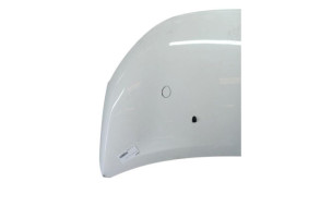 Capot RENAULT MEGANE 3 Photo n°8